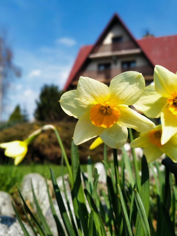 Dom Na Brzyzku Hotell Poronin Eksteriør bilde